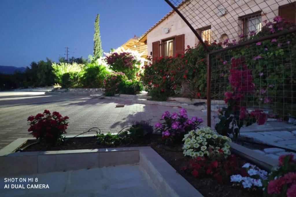Stonehouse Olivelia - Afrathias Beach Tympáki Екстериор снимка