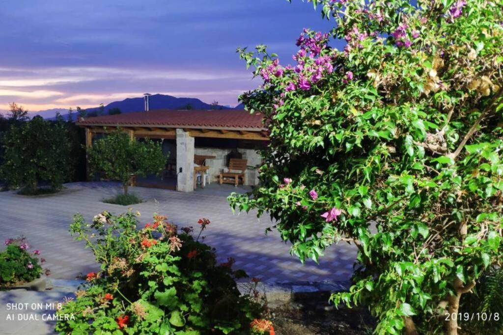 Stonehouse Olivelia - Afrathias Beach Tympáki Екстериор снимка