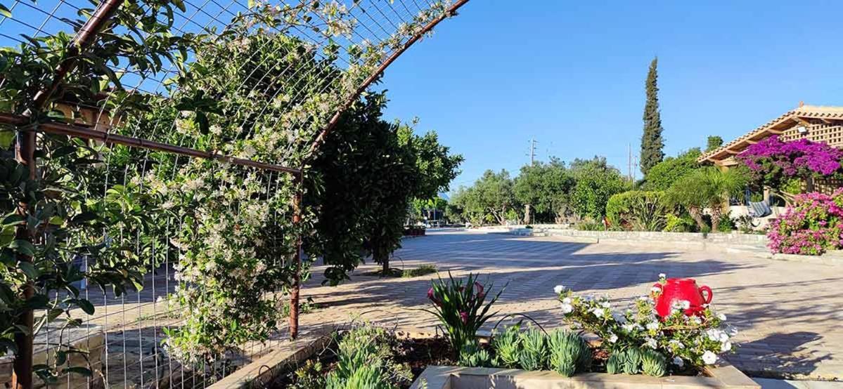 Stonehouse Olivelia - Afrathias Beach Tympáki Екстериор снимка